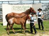 Reserve Champion Mare with Foal